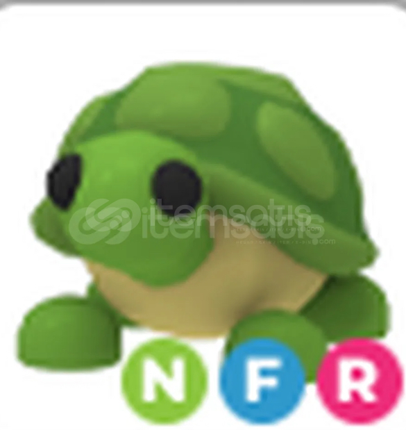 NFR⭐️TURTLE⭐️ NFR⭐️TURTLE⭐️