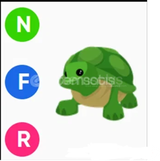 NFR TURTLE