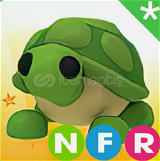 NFR TURTLE