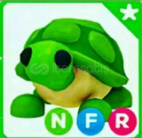 NFR TURTLE