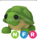 NFR ⭐️TURTLE⭐️