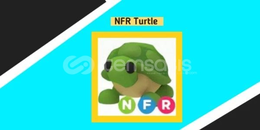 NFR Turtle