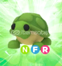 nfr turtle