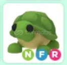 NFR TURTLE HIZLI TESLIMAT