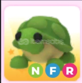 Nfr Turtle Çok Ucuz