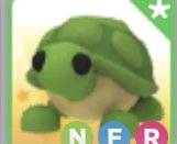 NFR Turtle (En Ucuz)