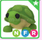 Nfr turtle (EN UCUZ)
