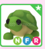 NFR TURTLE EN UCUZU %100