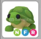 NFR Turtle ( en ucuzu )