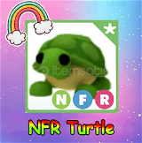 NFR Turtle En Uygun Satış !!