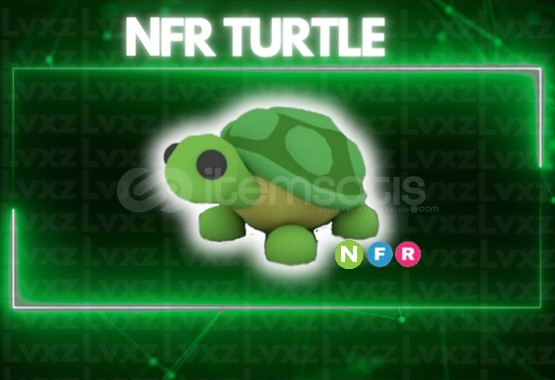 NFR Turtle En Uygunu NFR Turtle En Uygunu
