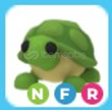 NFR Turtle (EN UYGUNU)