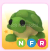 NFR Turtle Hızlı ve güvenilir teslimat