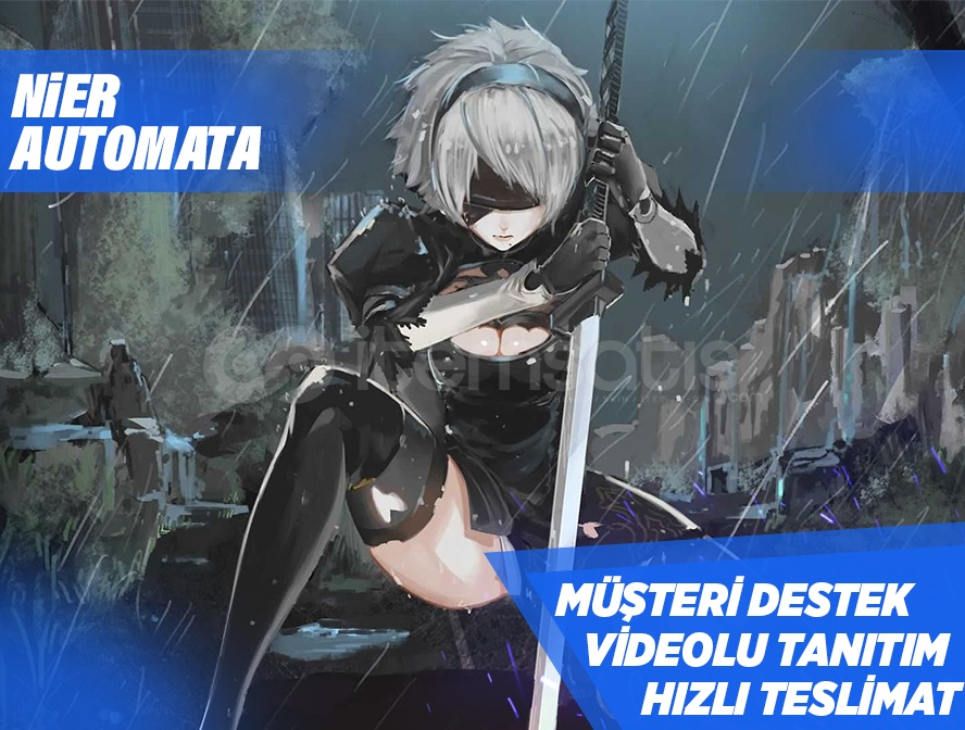 ✅ NieR Automata  ✅ NieR Automata
