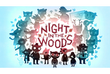 Night in the Woods + Garanti