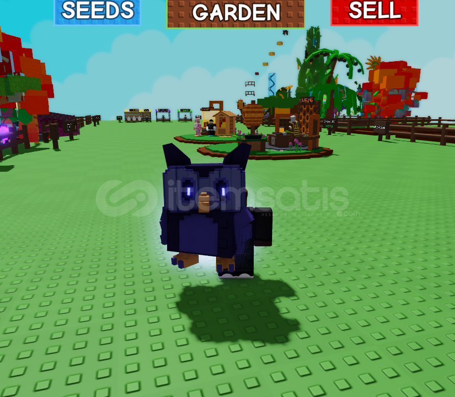 Night Owl (5.50 KG) (Age 25) Night Owl (5.50 KG) (Age 25)