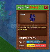 Night Owl
