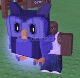 Night Owl pet