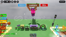 Nightmare tarantula hawk age 100 weight 65.02