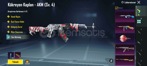 Nihaili ve xsuitli harika hesap