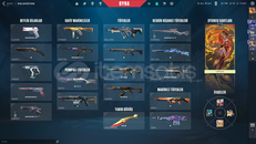 ✨İlk Mailli 85K+ VP Harcanmış Bol Skinli Hesap✨