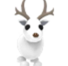No Pot Arctic Reindeer (en ucuz) ADOPT ME