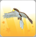 No Pot Hawk / Adopt Me No Pot Hawk / Adopt Me