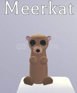 No pot Meerkat 