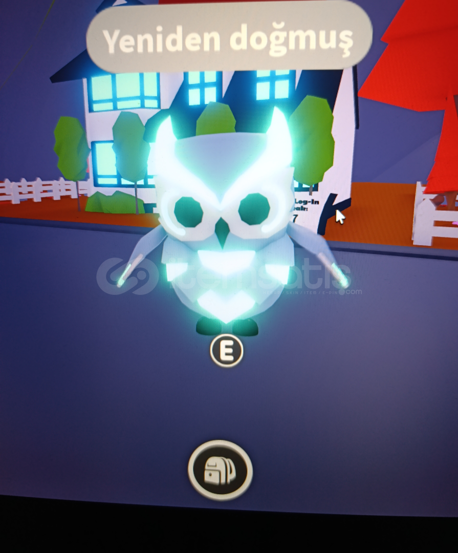 No Pot Neon Snow Owl No Pot Neon Snow Owl