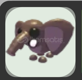 No Potion Bush Elephant!