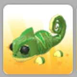 No Potion Chamelon