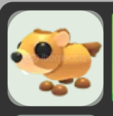 No Potion Groundhog!
