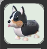 No Potion Royal Corgi!