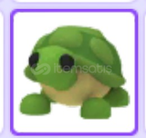 No Potion Turtle!