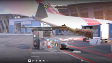 Nova | Yorkshire (Hızlı Teslimat)