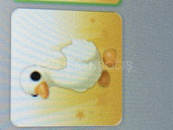 Np Goose Amp Np Goose Amp