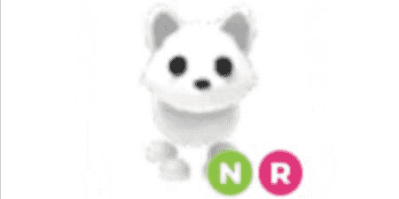 NR Arctic Fox NR Arctic Fox