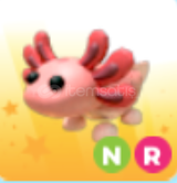 NR Axolotl