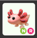 Nr Axolotl en ucuzu