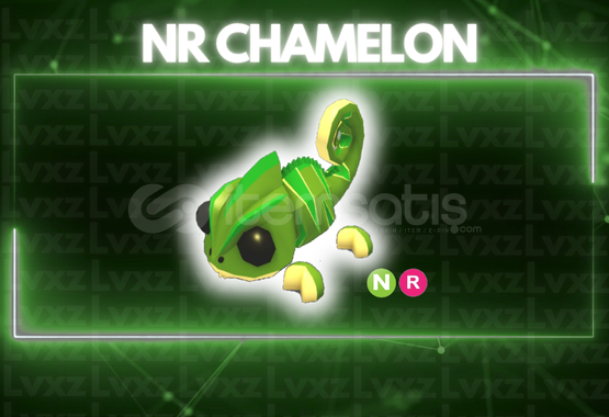 NR Chamelon Uyguna NR Chamelon Uyguna