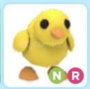 NR Chick