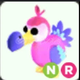 Nr Dodo