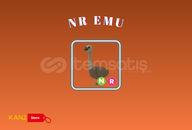 ⭐️ NR Emu ⭐️ [EN UYGUN] ⭐️