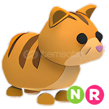 NR Gingercat NR Gingercat