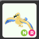 Nr Golden Albatross en ucuzu Nr Golden Albatross en ucuzu