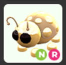 Nr Golden Ladybug en ucuzu