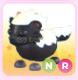 NR Honey Badger Satılıktır AdoptMe