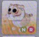 NR Lunar Golden Tiger NR Lunar Golden Tiger