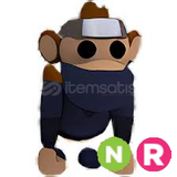 NR Ninja Monkey