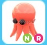 NR Octopus (EN UYGUNU)